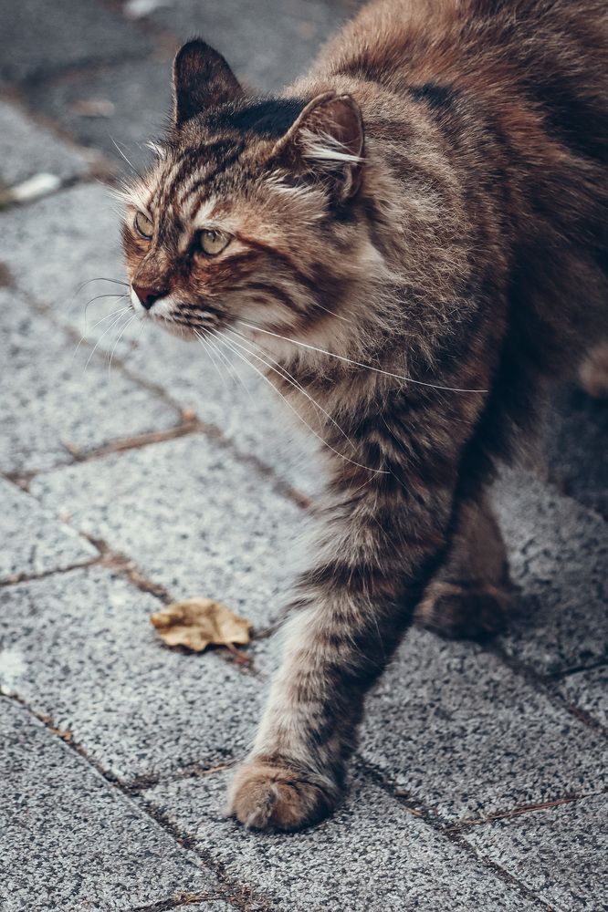 Photograph by Anton Krol