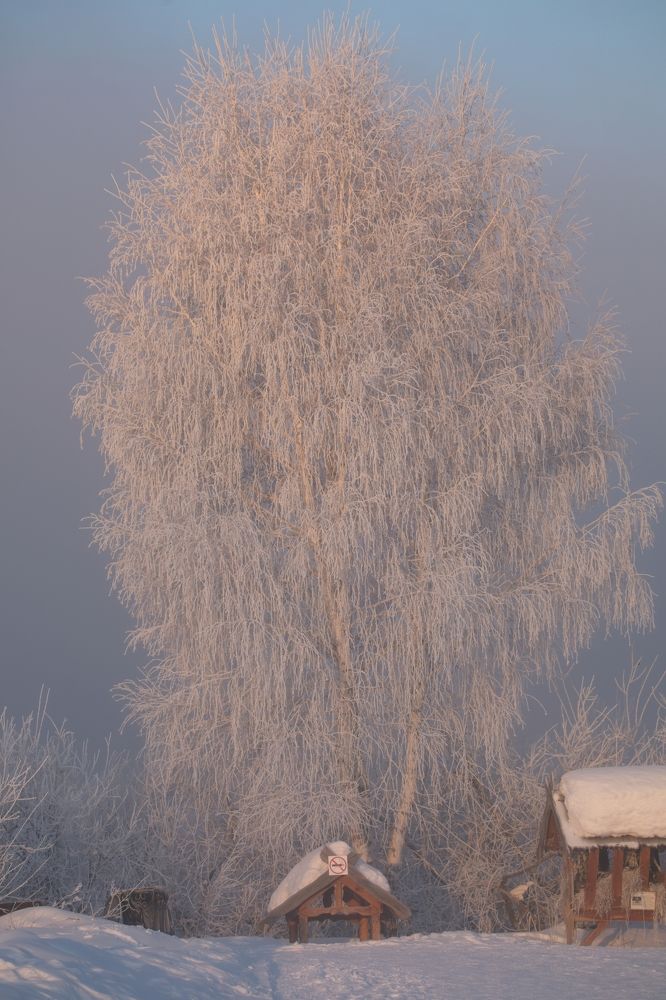 Photograph by Игорь Щербаков