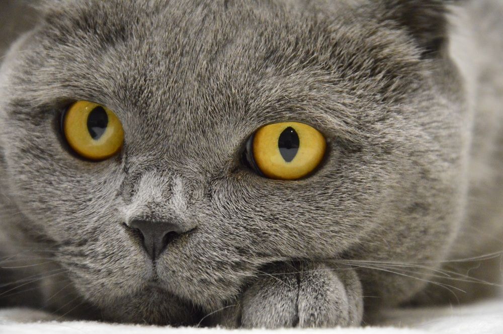 Photograph by Евгений Христолюбов