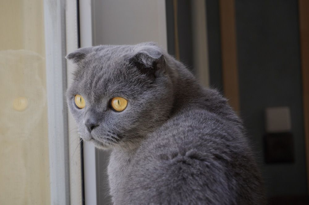 Photograph by Евгений Христолюбов