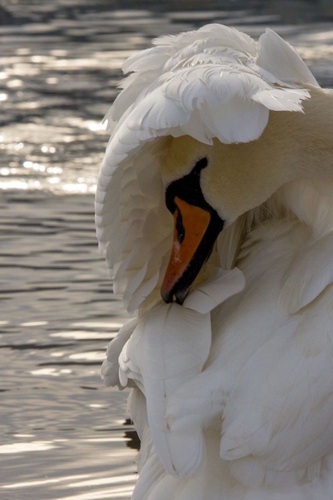 Photograph by Кристина Кораблина