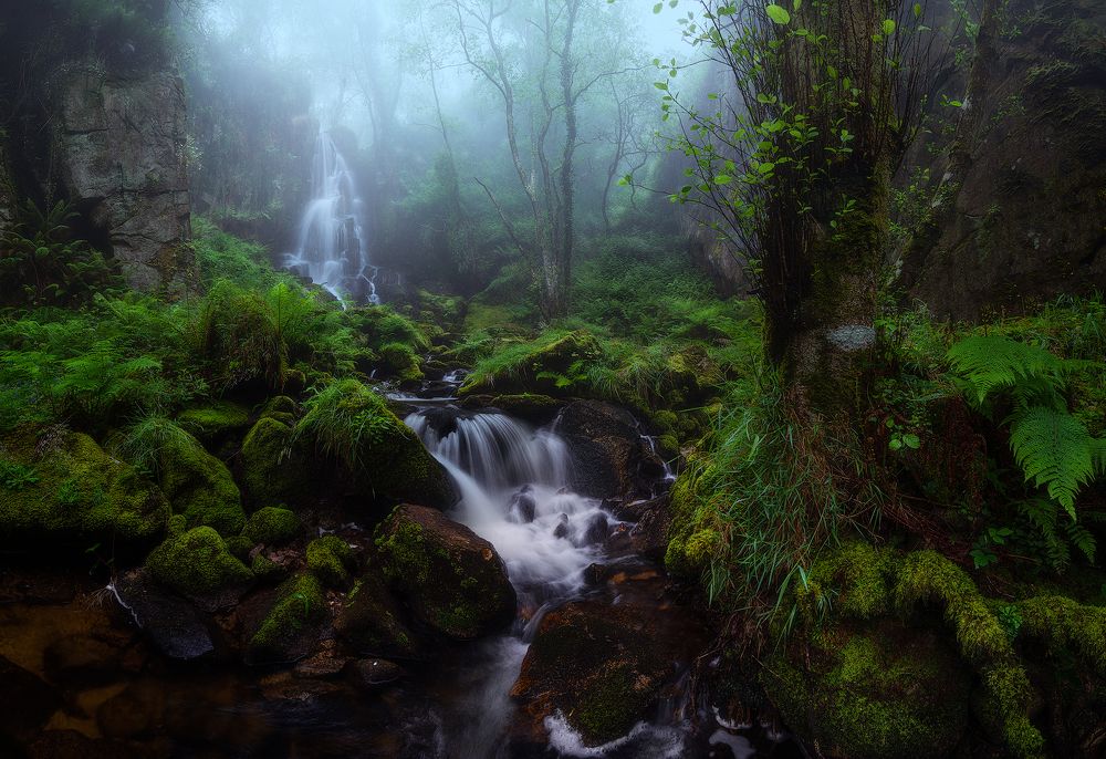 Photograph by SORAYA SAMPEDRO