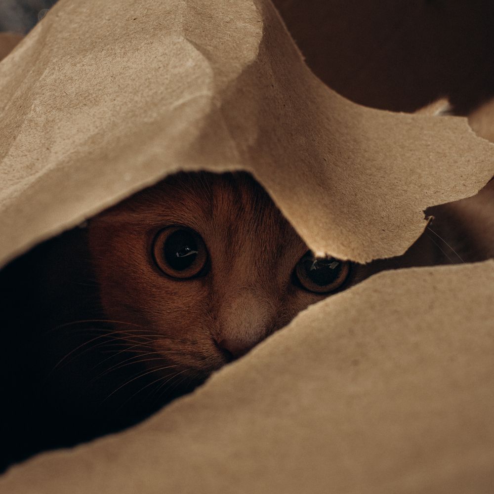 Photograph by Ирина Ермоленко