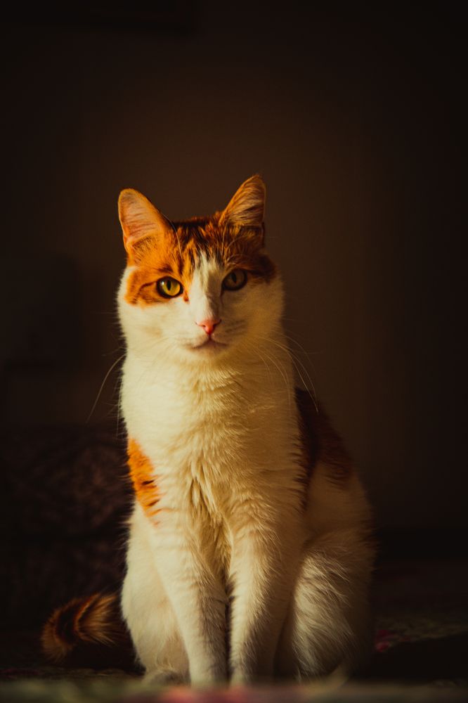 Photograph by Алексей Егоров