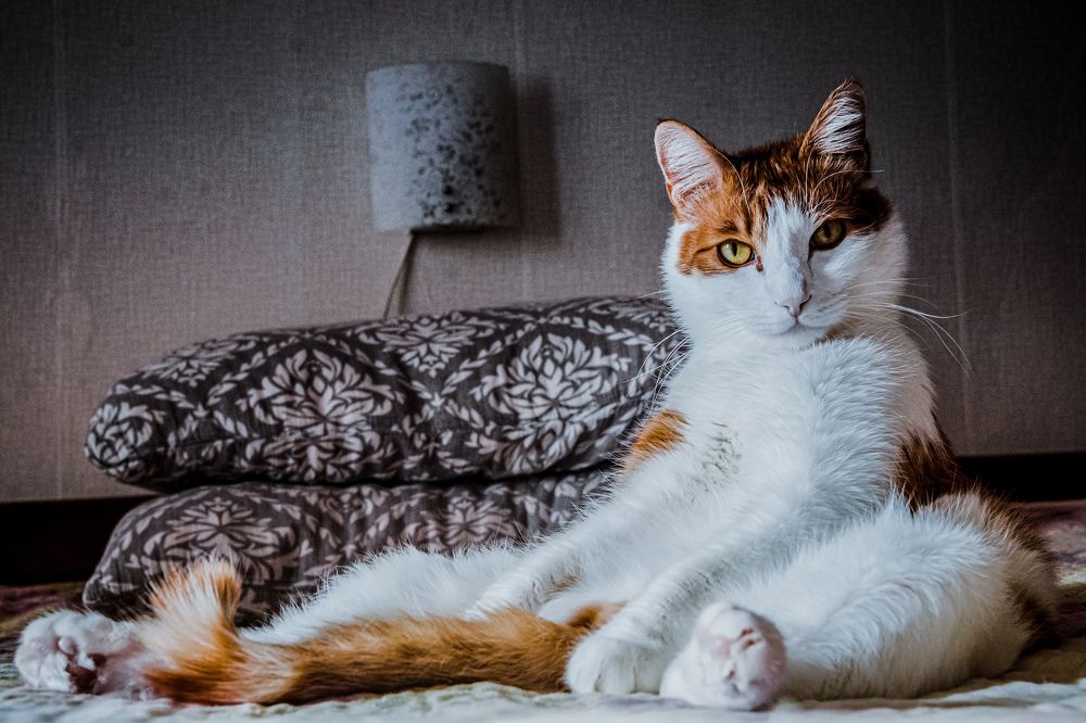 Photograph by Алексей Егоров