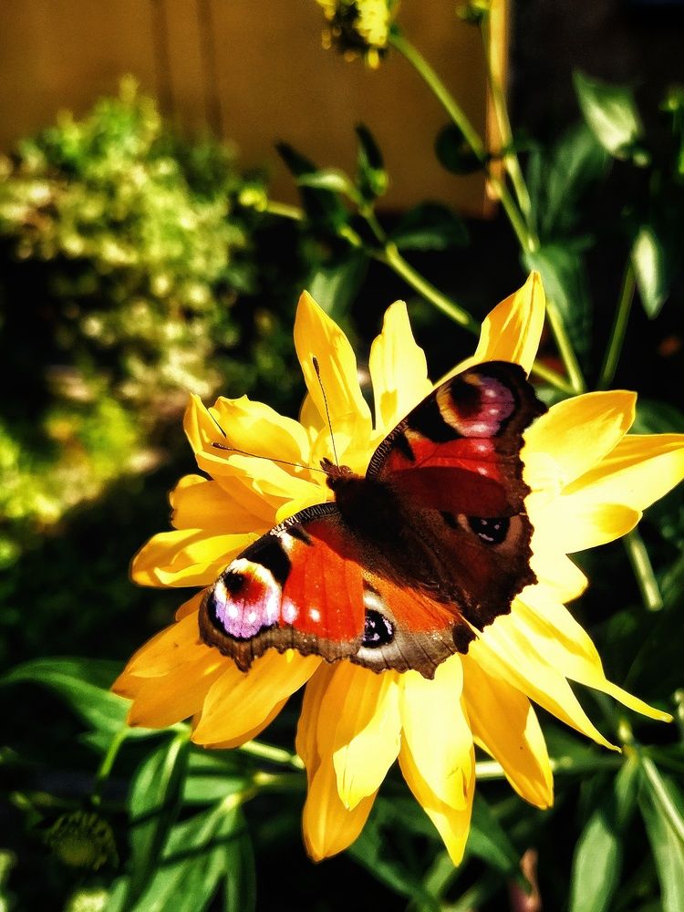 Фотография автора Гвоздецкая Анна