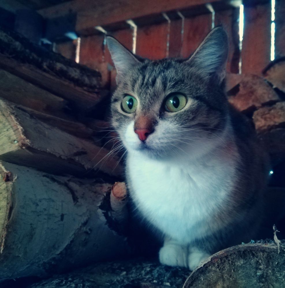 Photograph by Мария