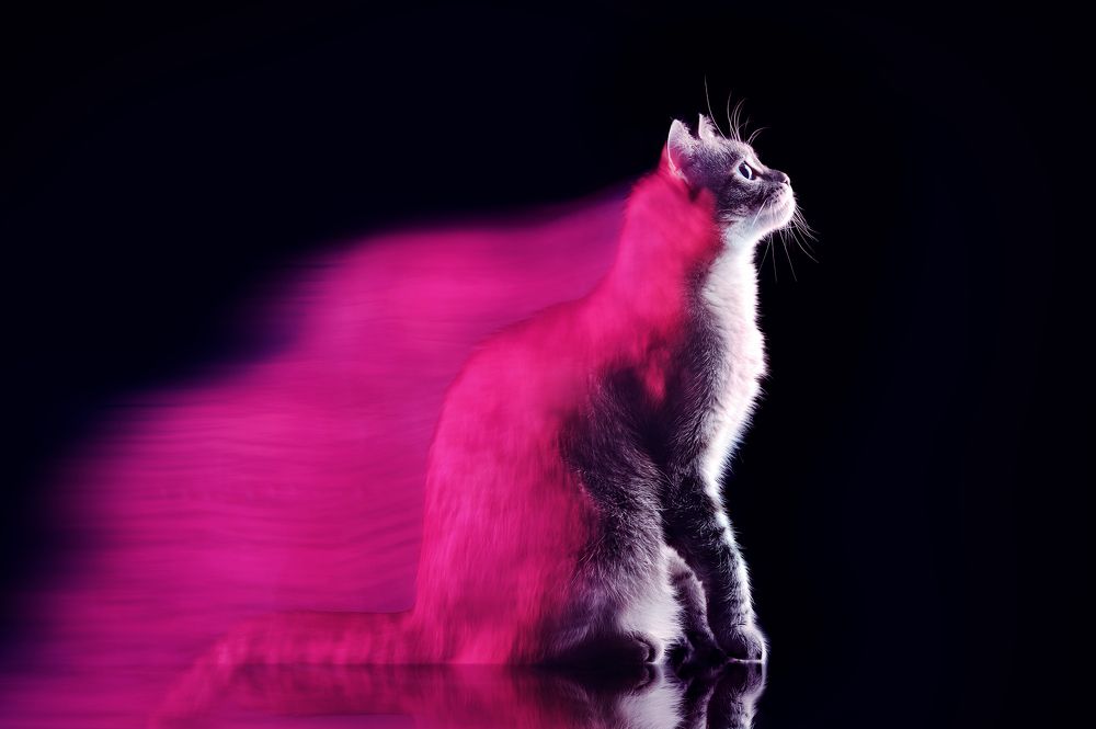 Photograph by Татьяна Калмацуй