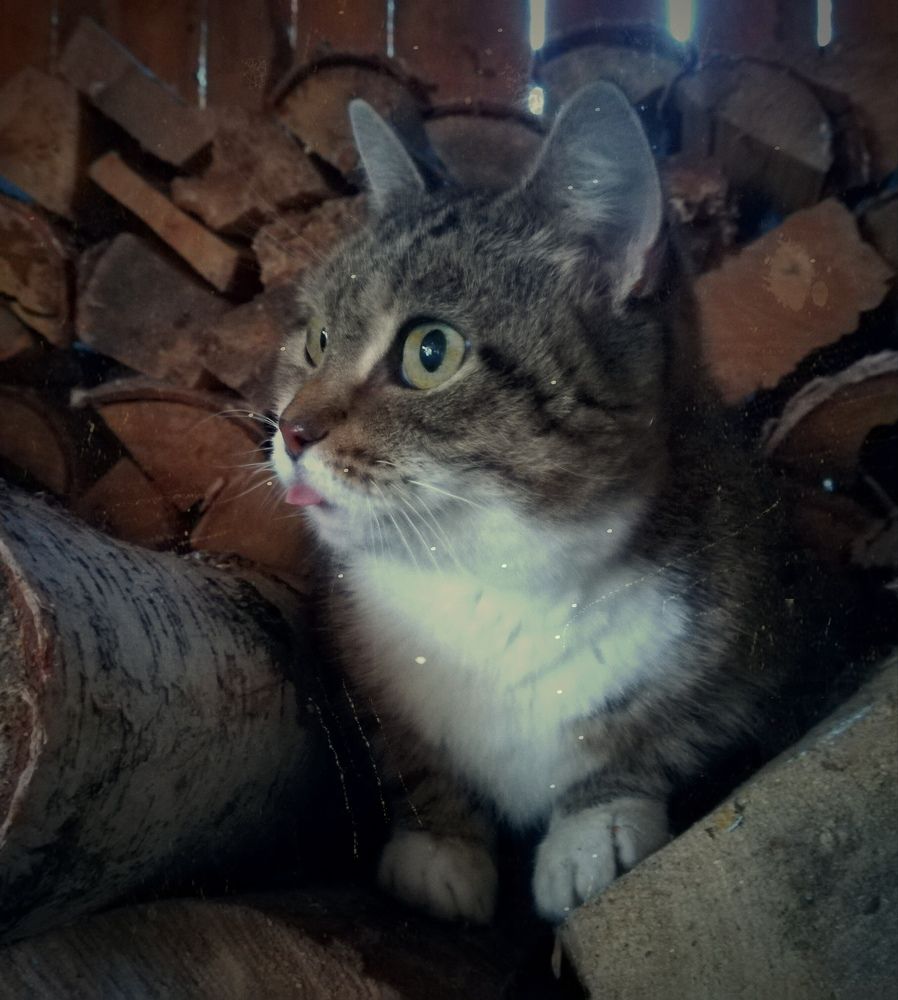 Photograph by Мария