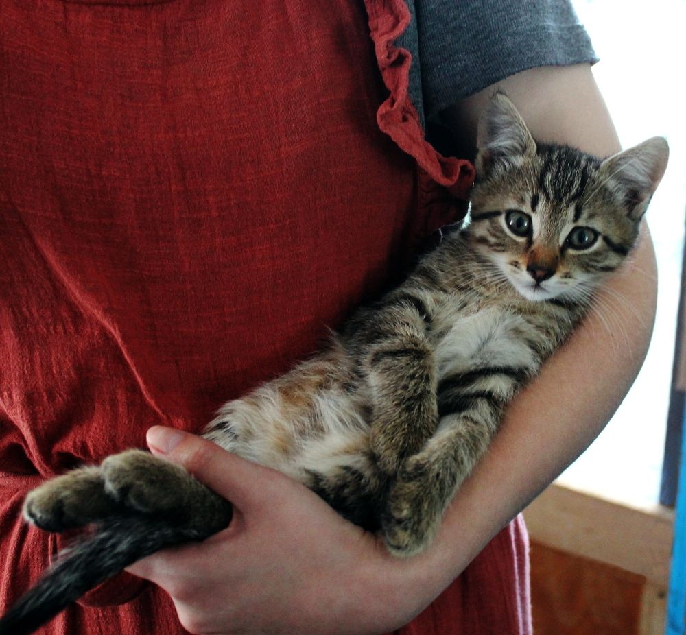 Фотография автора Алла Черноморская