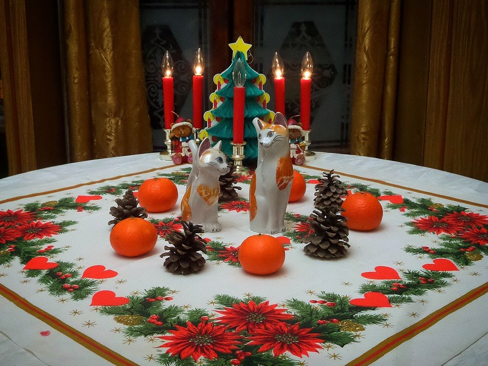 Фотография автора Ксения Смирнова