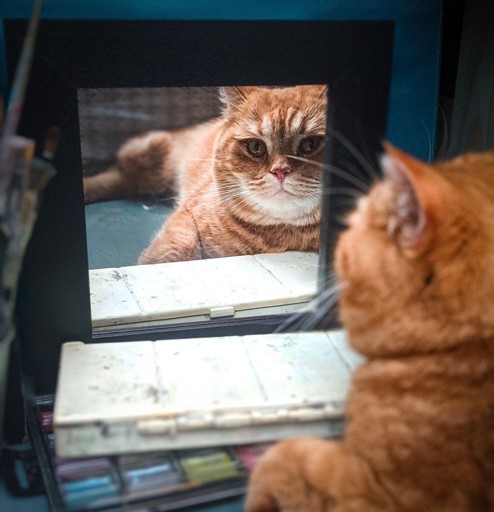 Фотография автора Ксения Шляйхер