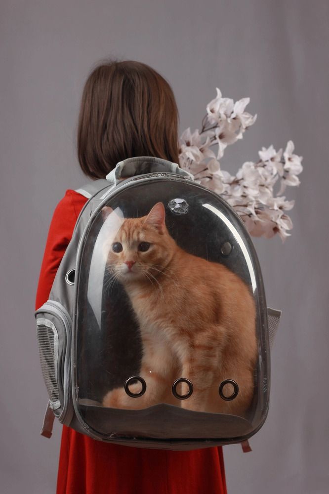 Фотография автора Ираида Гайфуллина