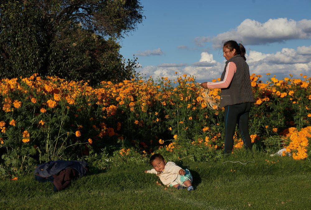 Photograph by Fernando izaguirre