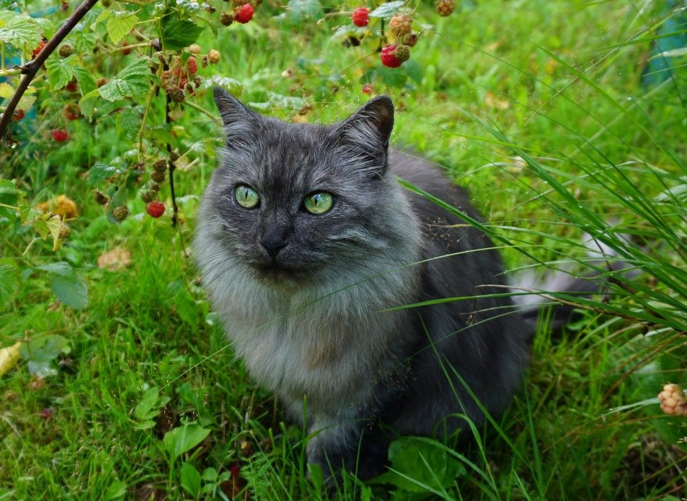 Photograph by Михаил Трусов