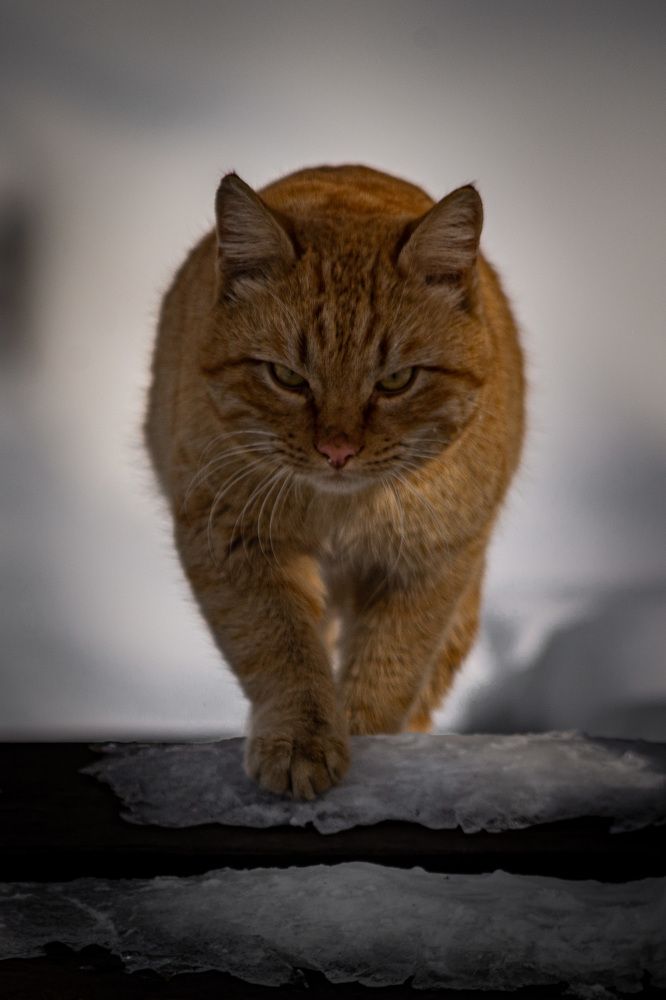 Photograph by Андрей Бобрюк