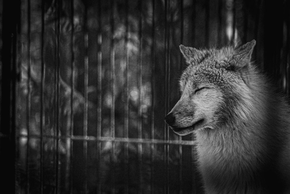 Photograph by Елена Берсенёва