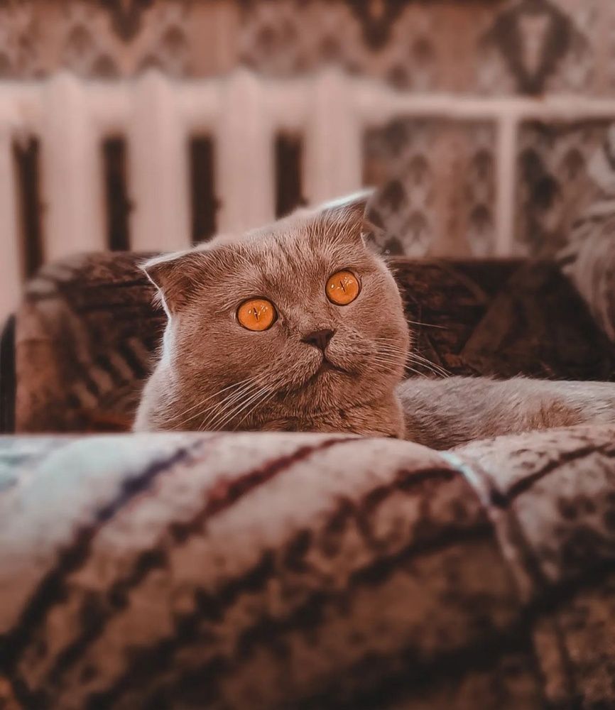 Photograph by Татьяна Радченко