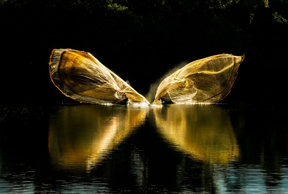 Фотография автора Đào Cảnh