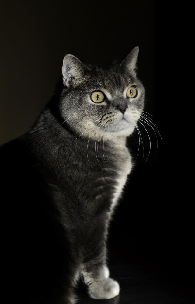 Photograph by Анастасия Чушкова