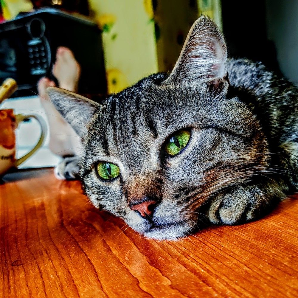 Photograph by Ирина Саттарова