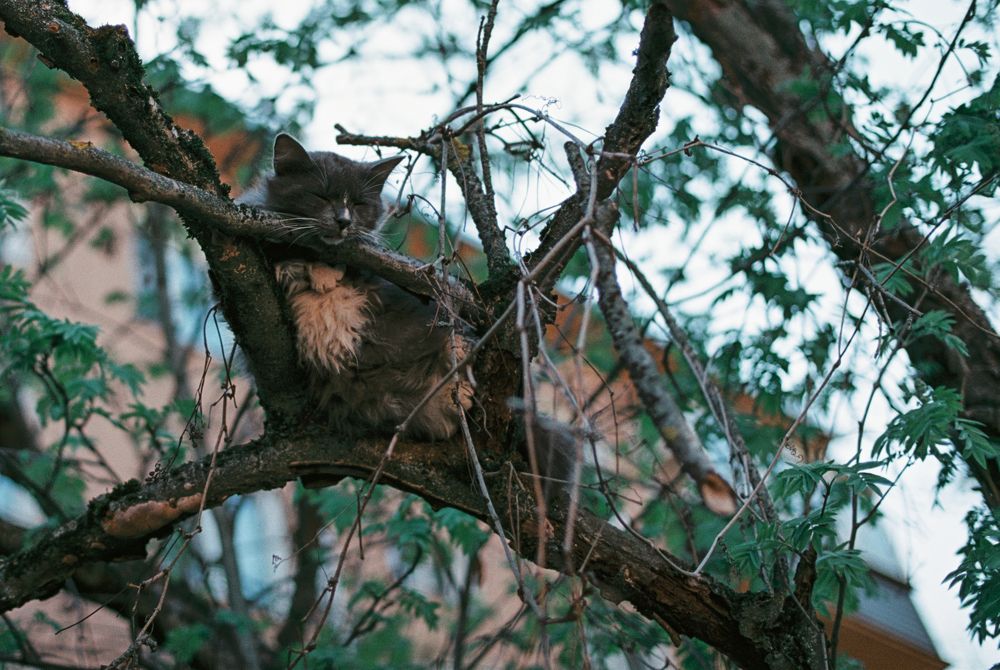 Photograph by Антон Бондарчук