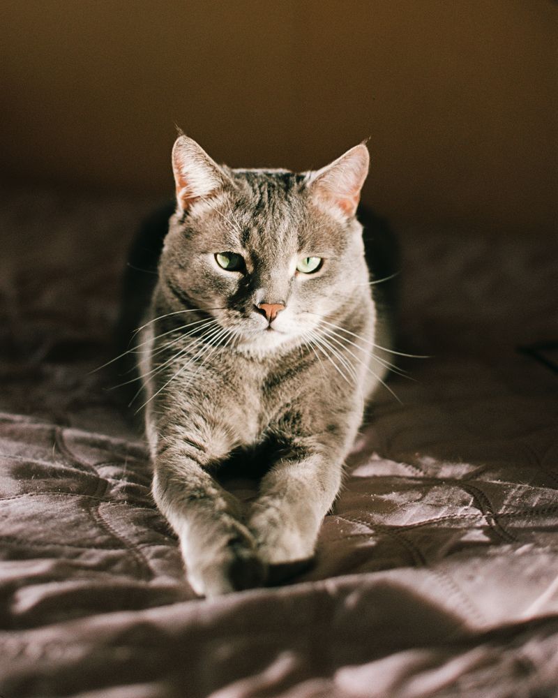 Photograph by Антон Бондарчук