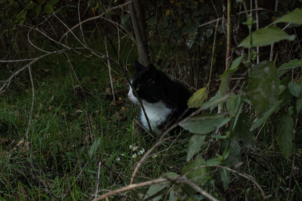 Photograph by Ирина Дмитриенко