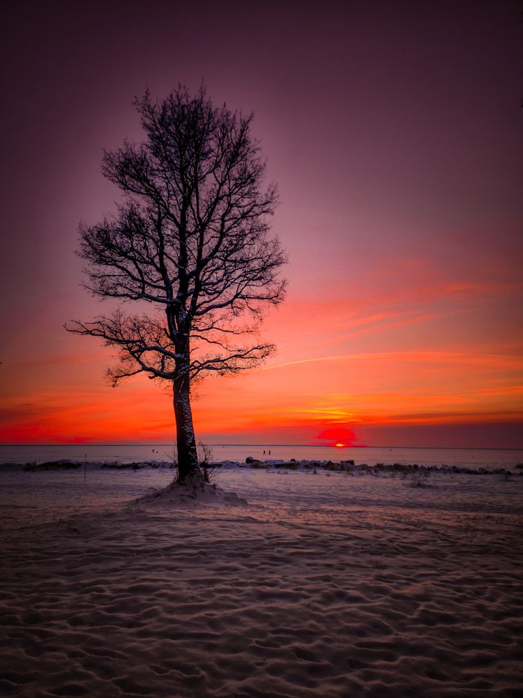 Photograph by Chic.chiquitita