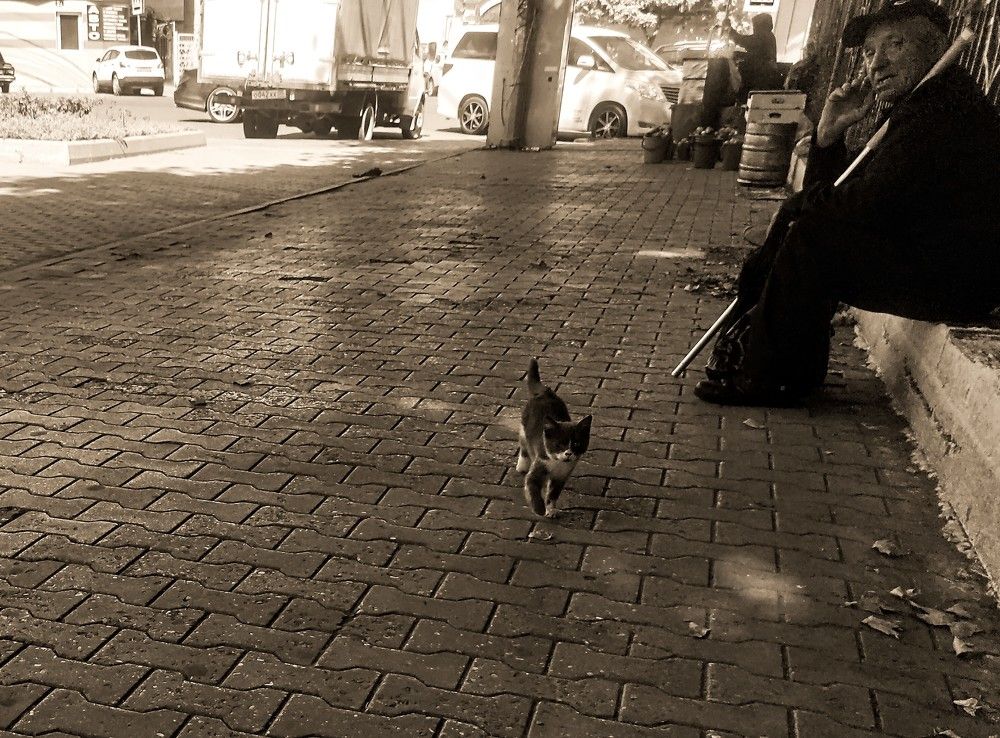 Photograph by Ирина Саттарова