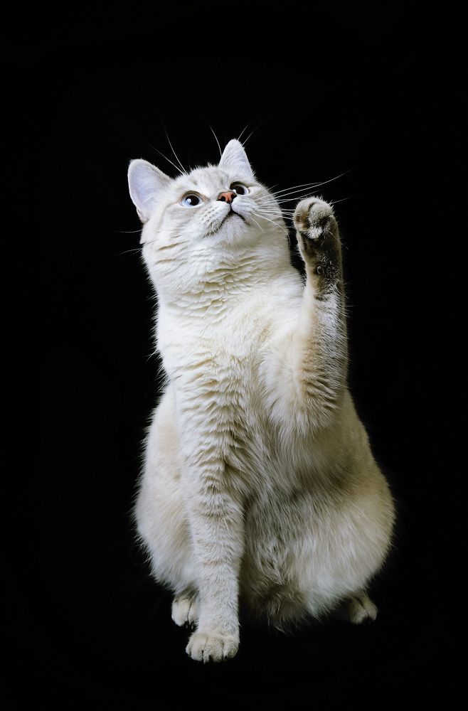 Photograph by Сергей Дергачев