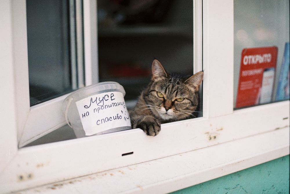 Photograph by Антон Бондарчук