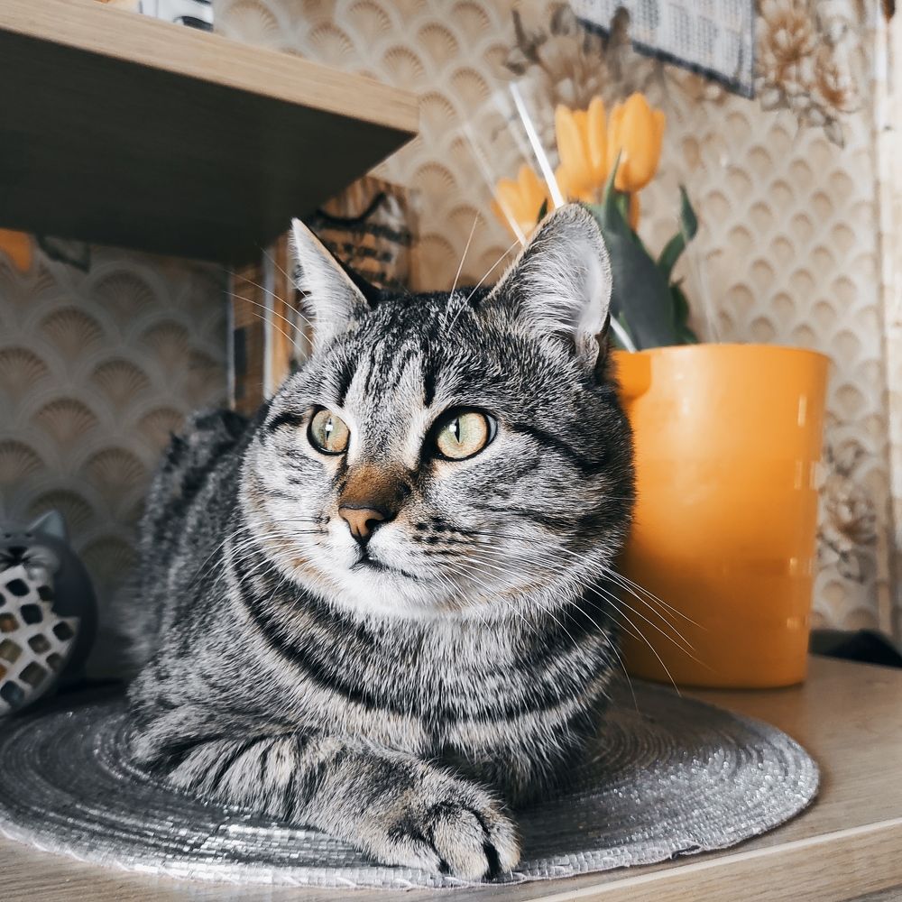 Photograph by Ирина Саттарова