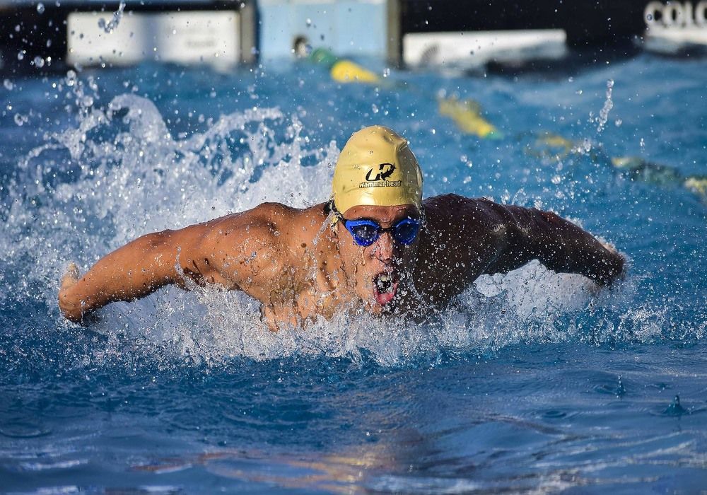 Photograph by Laura Lopes Santos