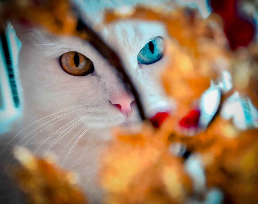 Photograph by Любовь Бусова