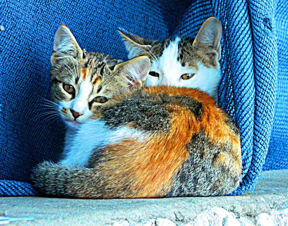 Photograph by Сергей Рапопорт