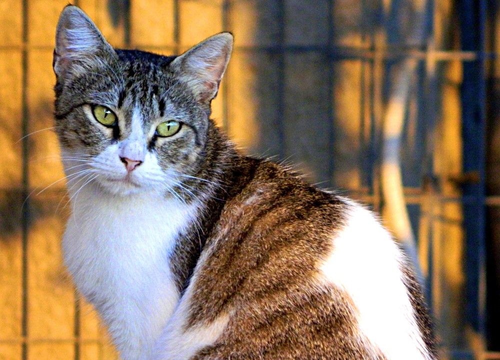 Photograph by Сергей Рапопорт