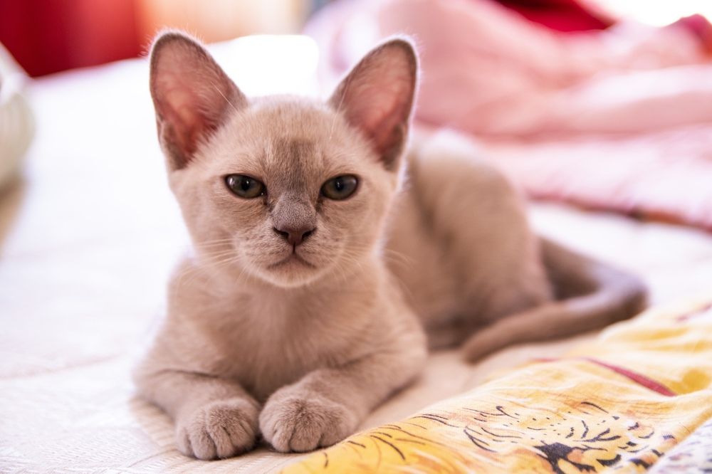 Photograph by Елена Алексеева