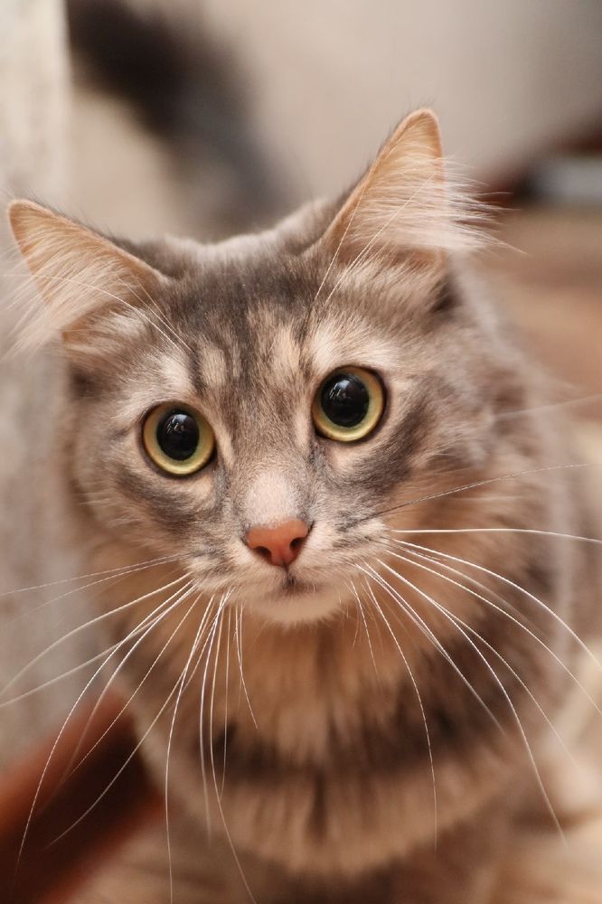 Photograph by Елена Алексеева