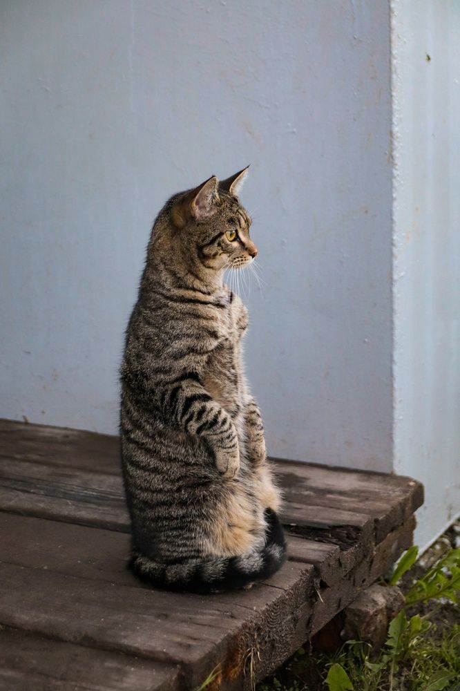 Photograph by Елена Алексеева