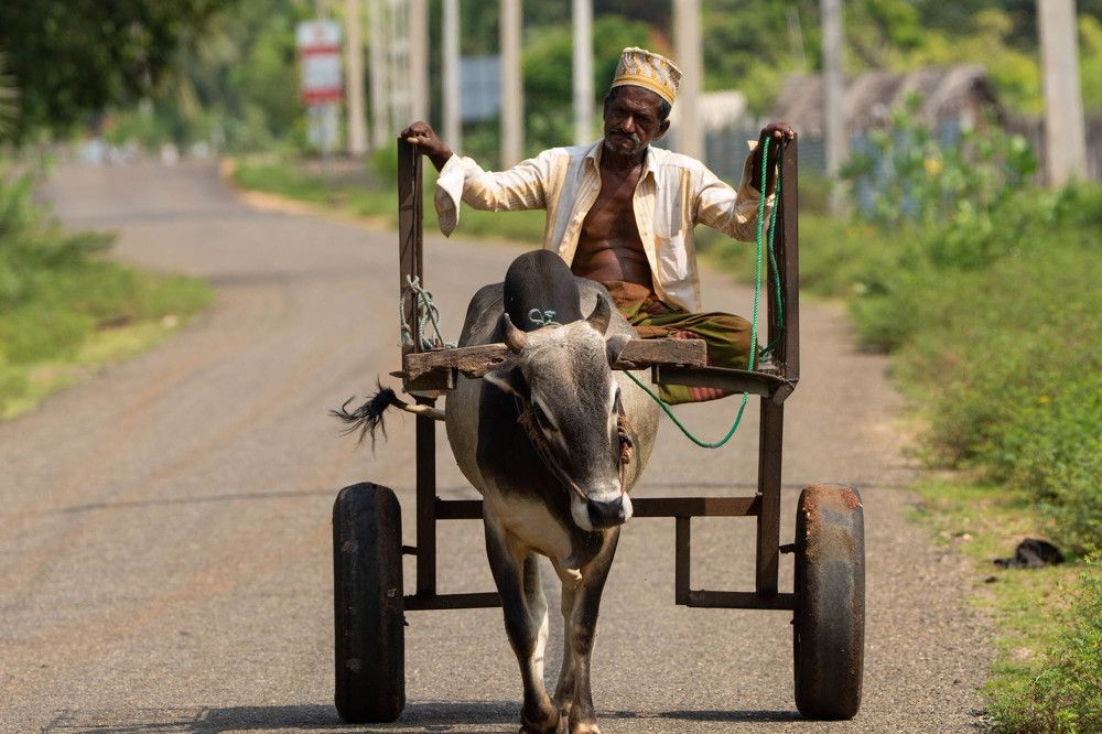 Photograph by Yuganthan Nallusamy