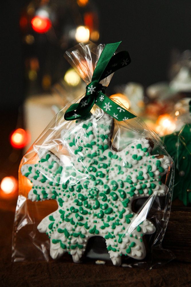 Фотография автора Ксения Лепина