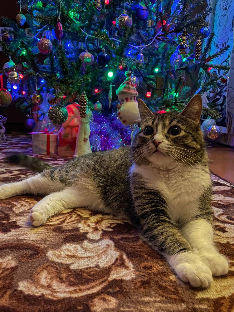 Photograph by Юлия Коншина