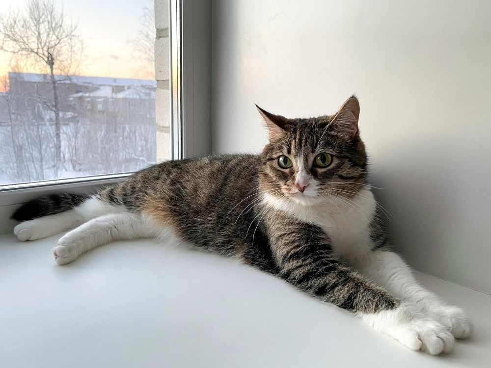 Photograph by Юлия Коншина