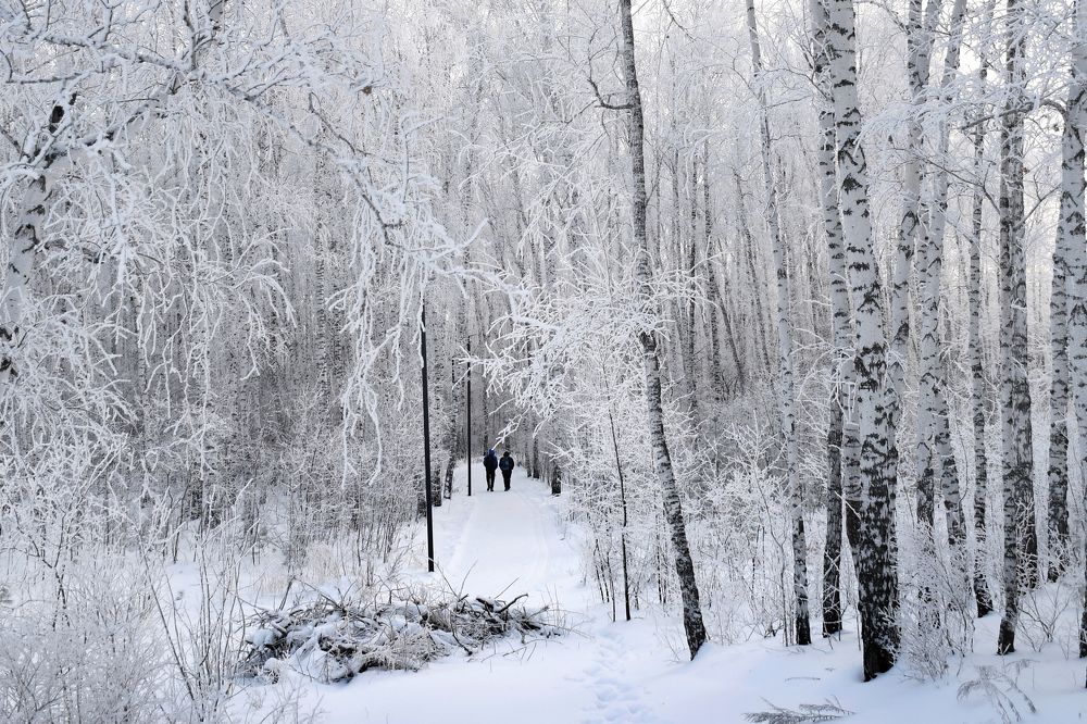 Мир зимнего волшебства