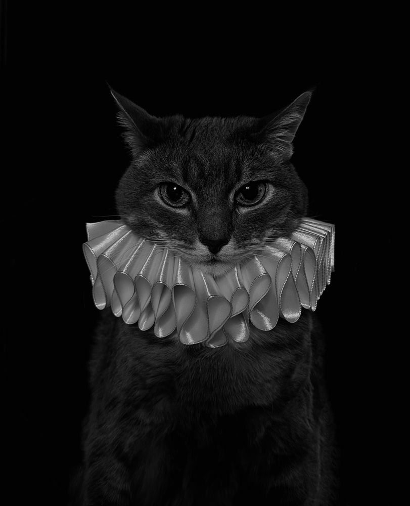 Photograph by Гуляева Светлана