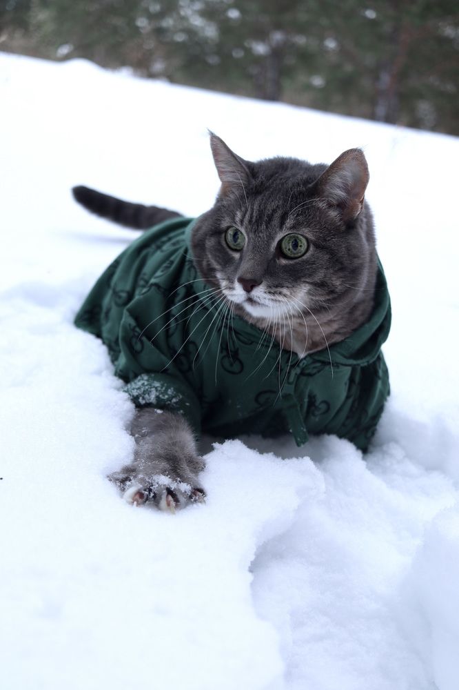 Photograph by Гуляева Светлана