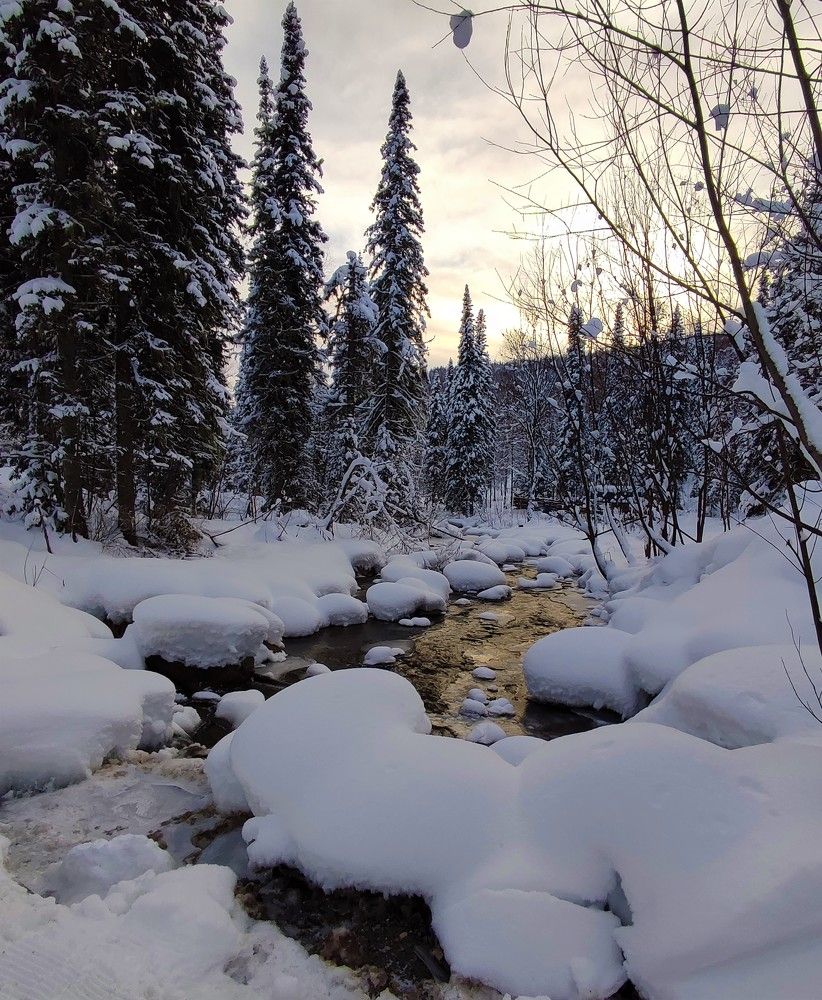 Photograph by Наталья Глек