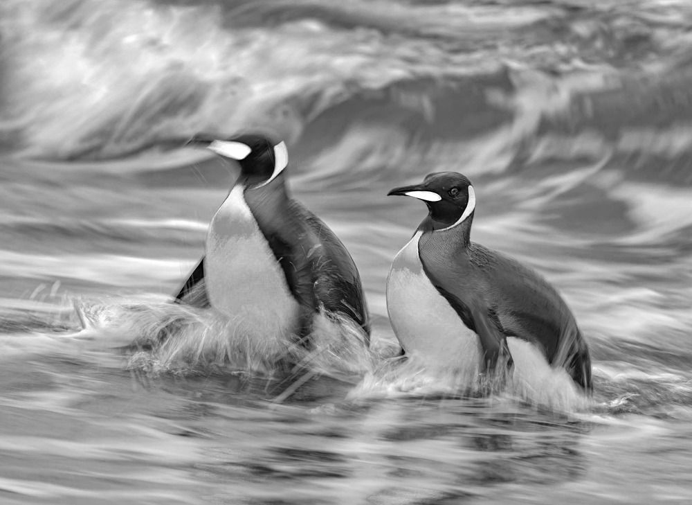 Photograph by andrey gagarin