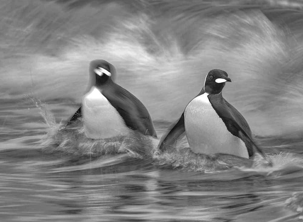 Фотография автора andrey gagarin